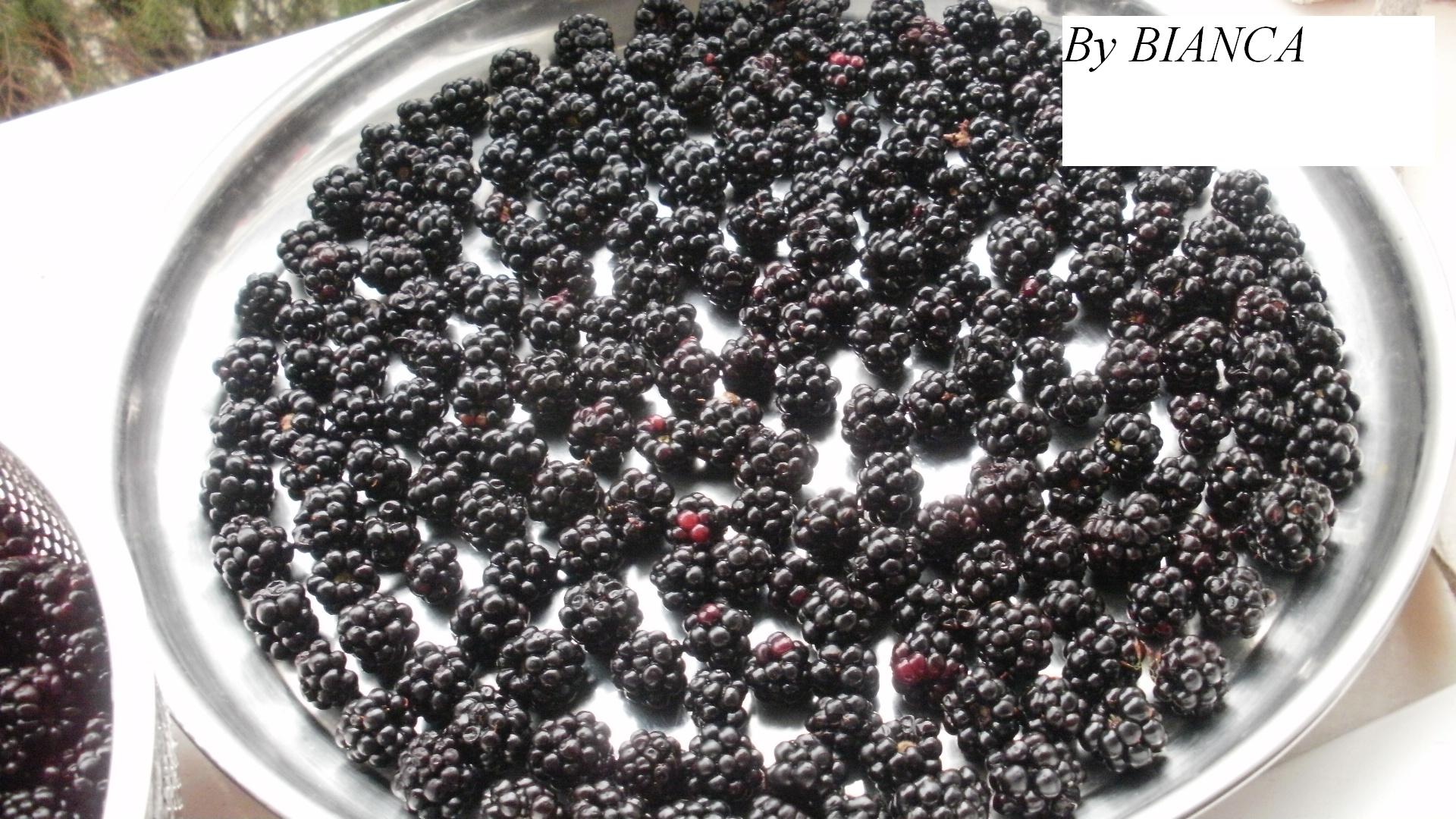 Fructe de padure la congelator pentru iarna