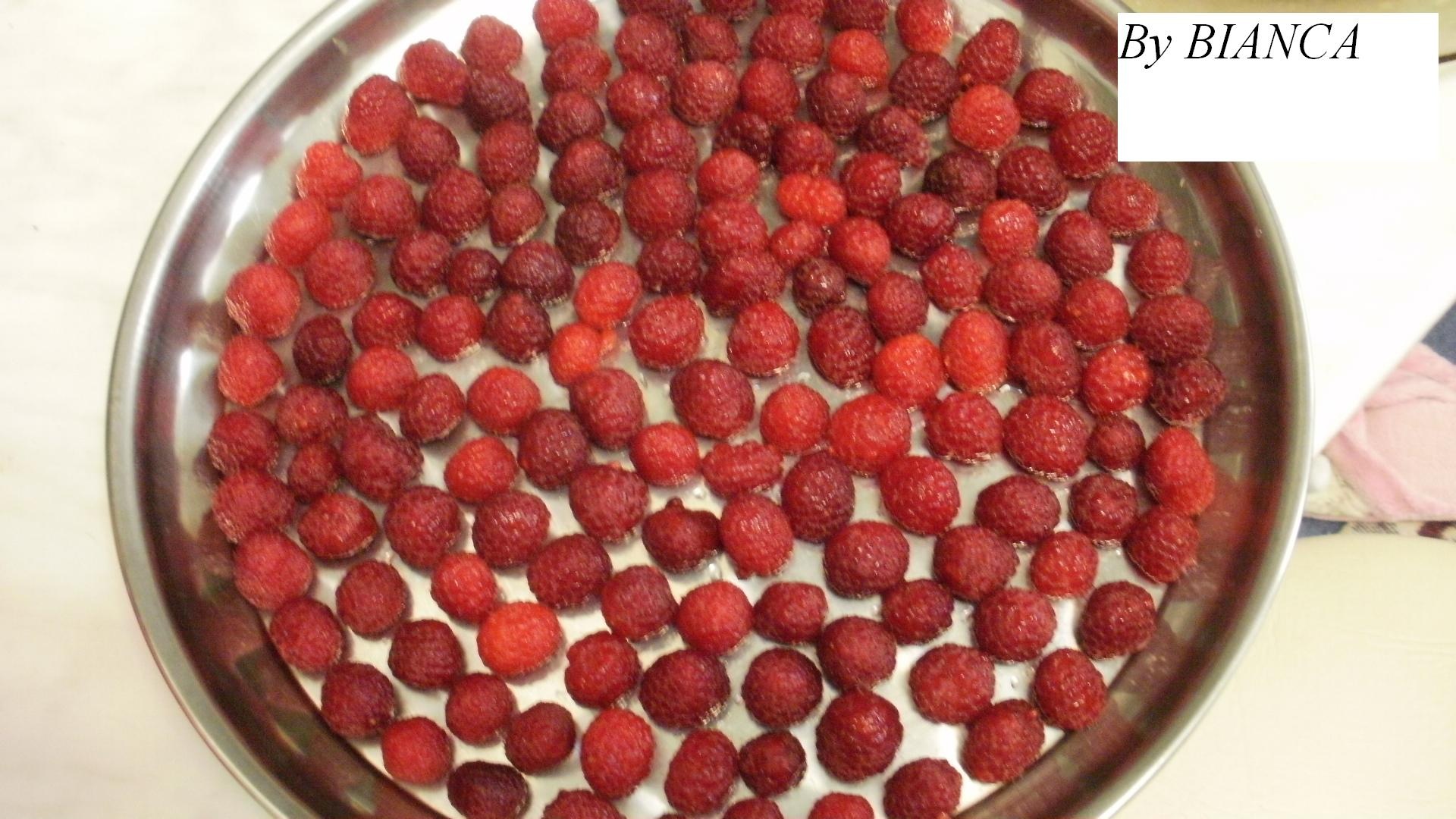 Fructe de padure la congelator pentru iarna