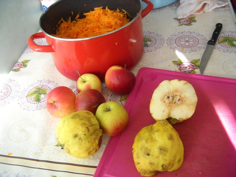 Placinta cu bostan, mere si gutui