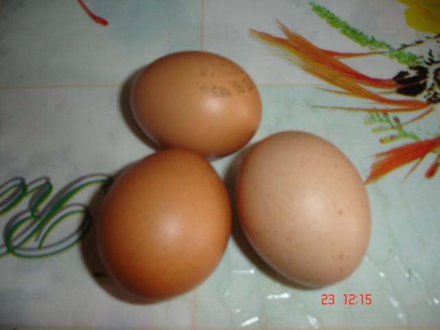 Parjoale in aluat de snitele