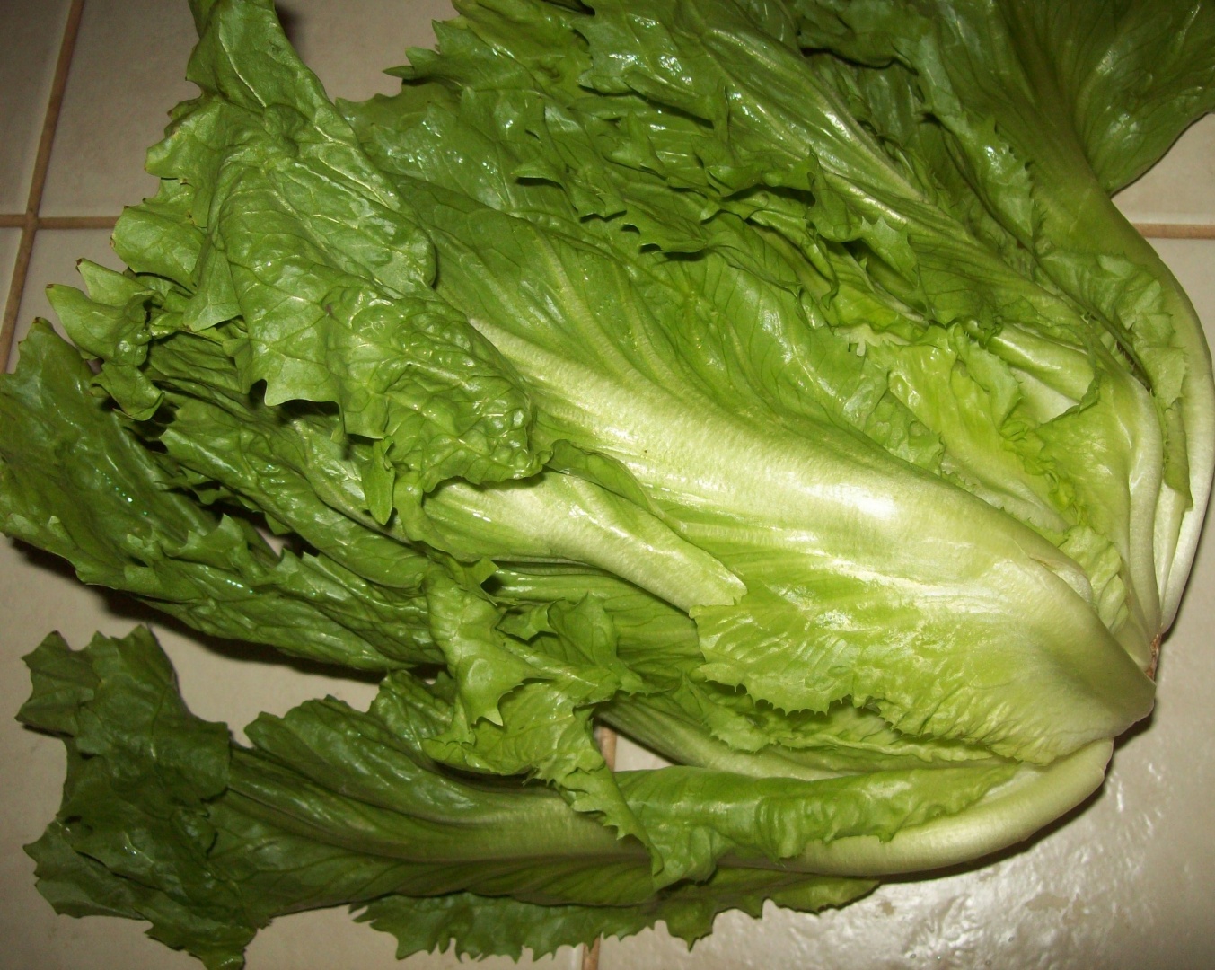 Chiftele si piure de cartofi cu andiva verde