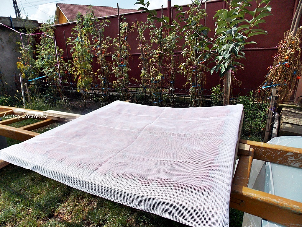 Rosii uscate la soare conservate in ulei de masline pe pat de busuioc