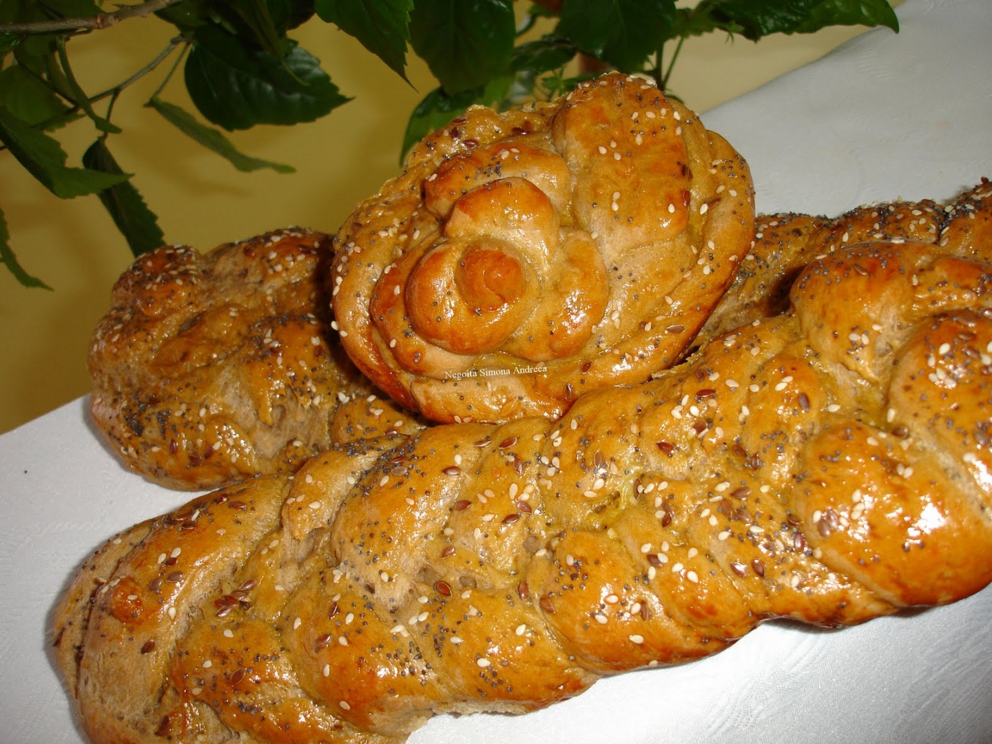 Paine neagra de casa