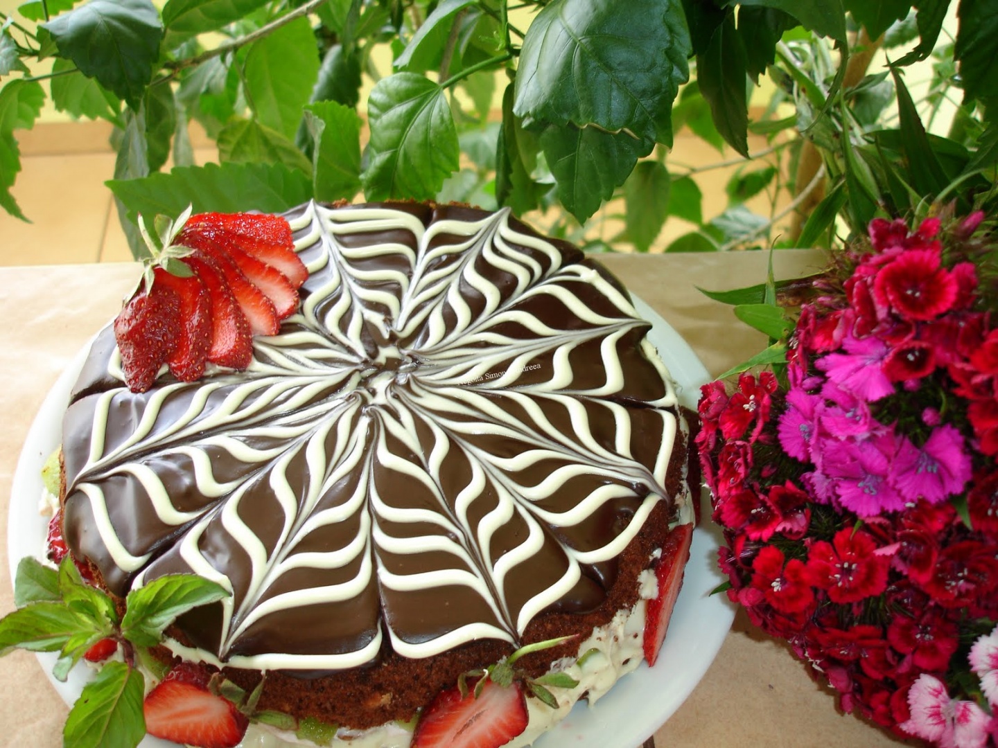 Minitort panza de paianjen