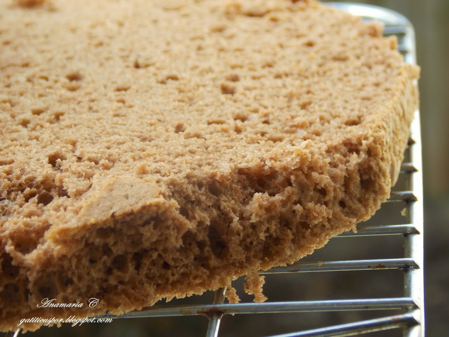 Tort cu ciocolata si crema de branza