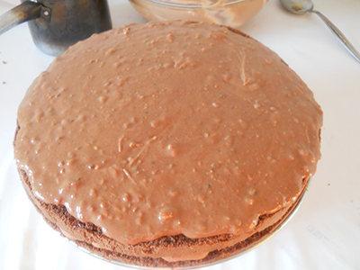 Tort Vis de ciocolata