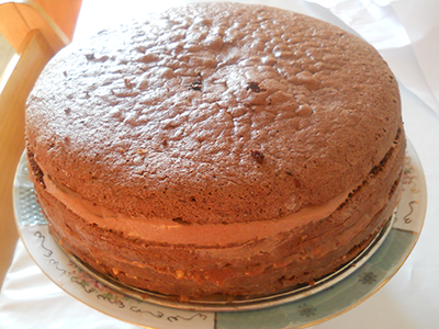 Tort Vis de ciocolata