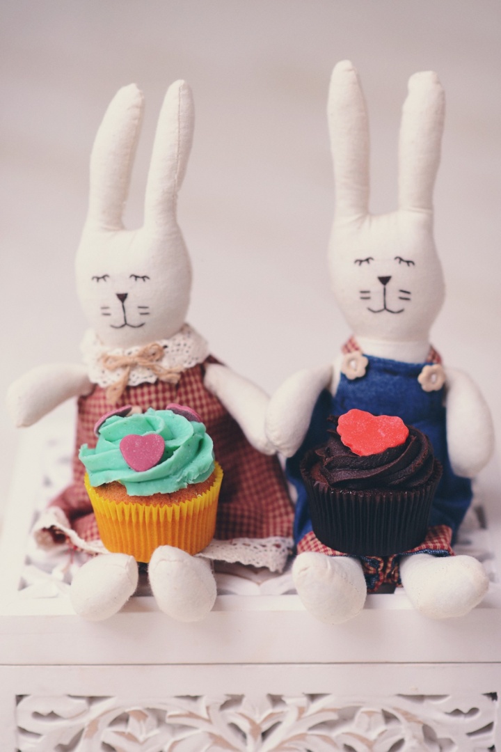 Madame Lucie aduce love macarons și alte declarații dulci