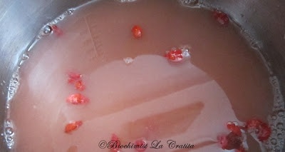 Grapefruit goji curd - crema de grapefruit si goji