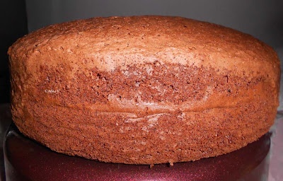 Tort cu fructe si frosting de cacao