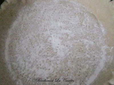 Placinta cu branza si seminte de pin