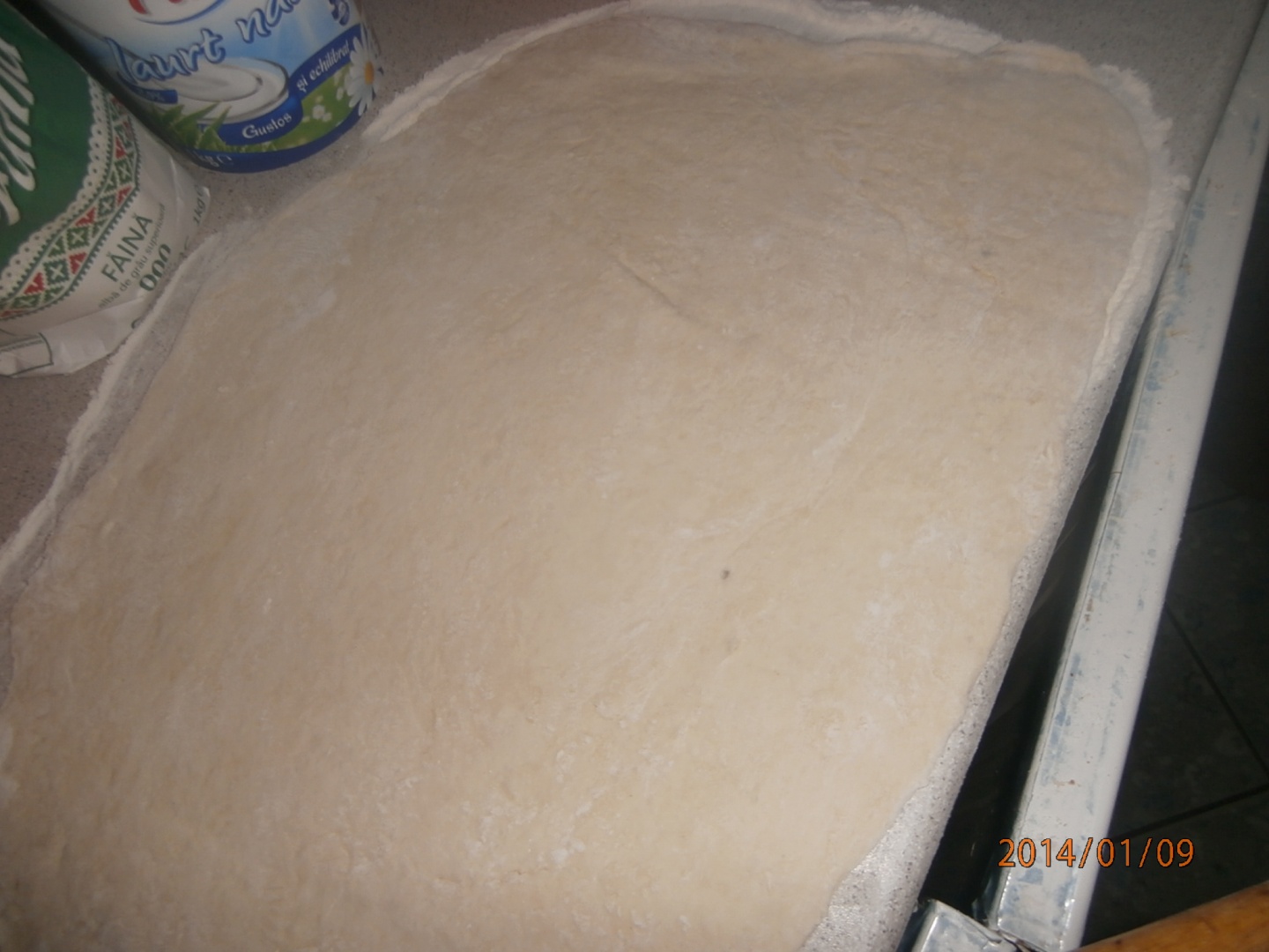 Bucatele de muschi file in crusta de paine