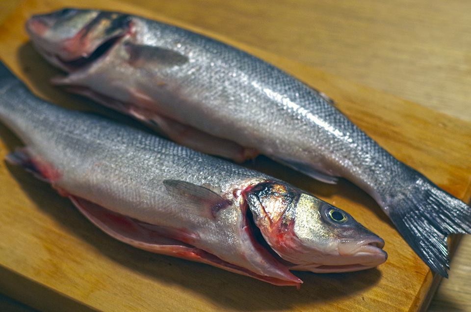 Lup de mare la gratar si paella cu creveti