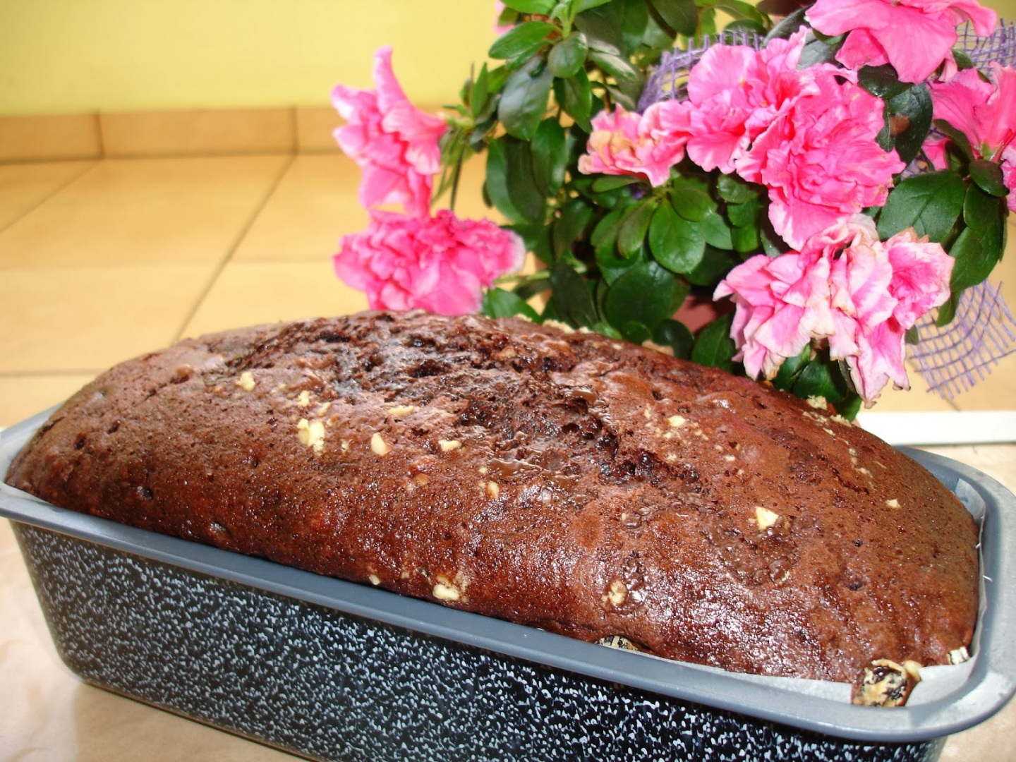 Chec de post cu cacao