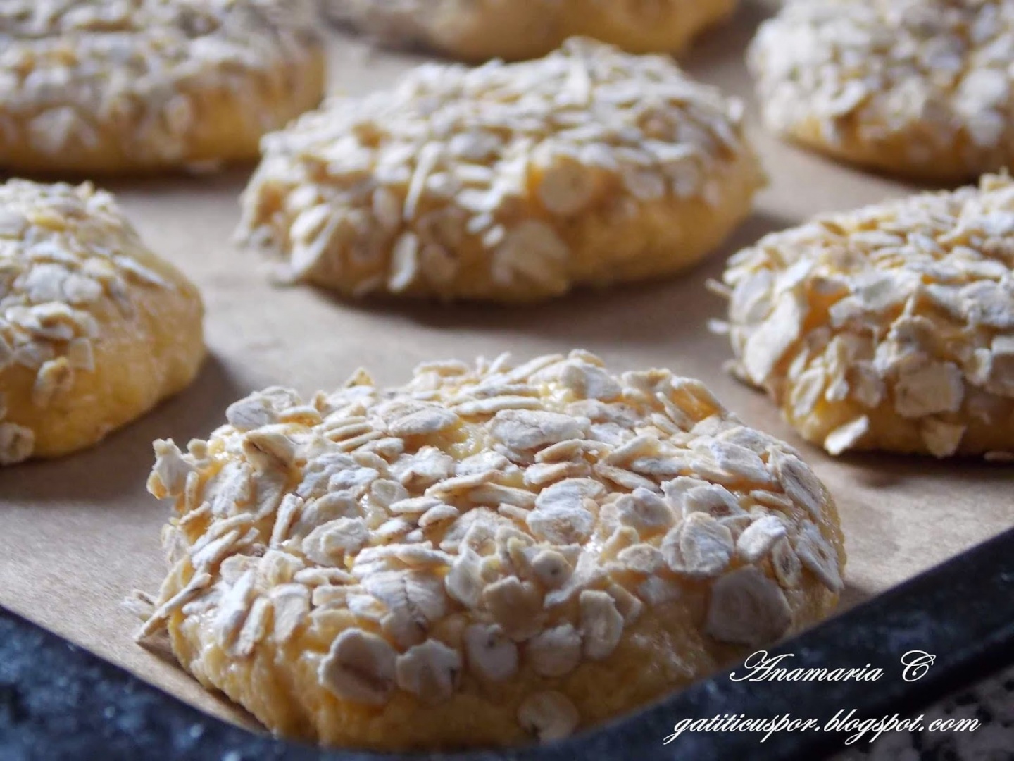 Biscuiti crocanti cu malai