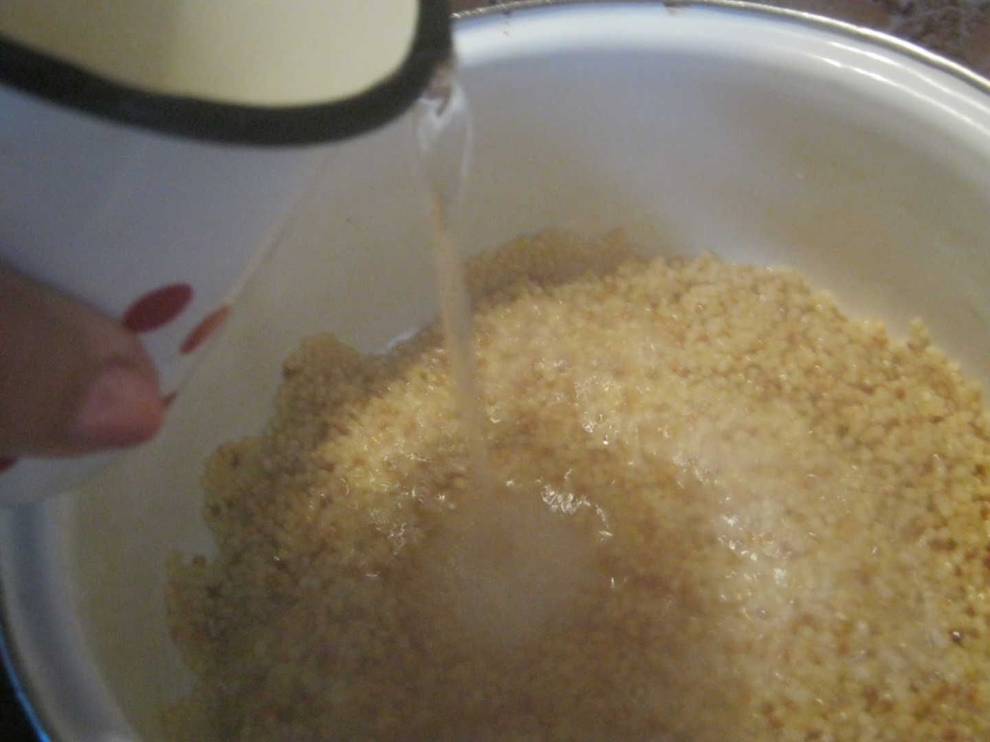 Cotlet de porc a la grec cu ciuperci si cus-cus