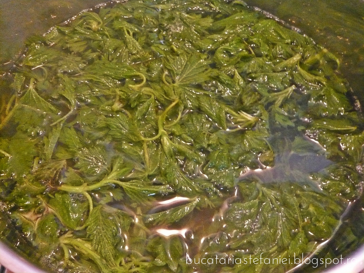 Urzici cu orez si usturoi