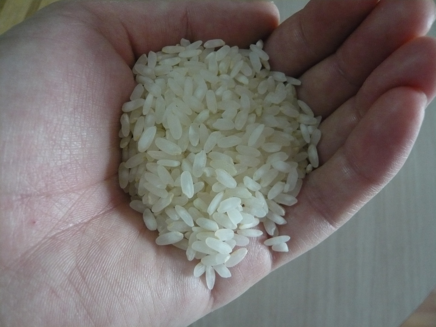 Urzici cu orez si usturoi