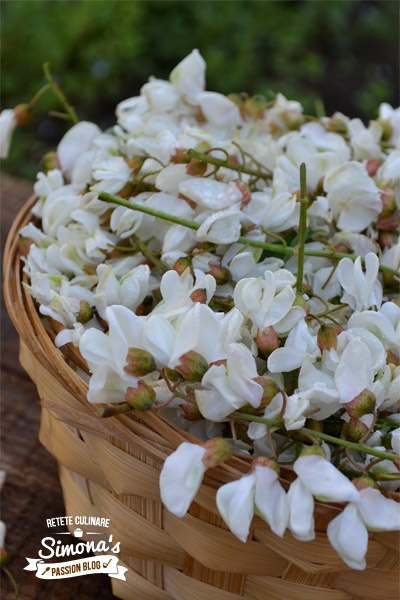 Dulceata din flori de salcam