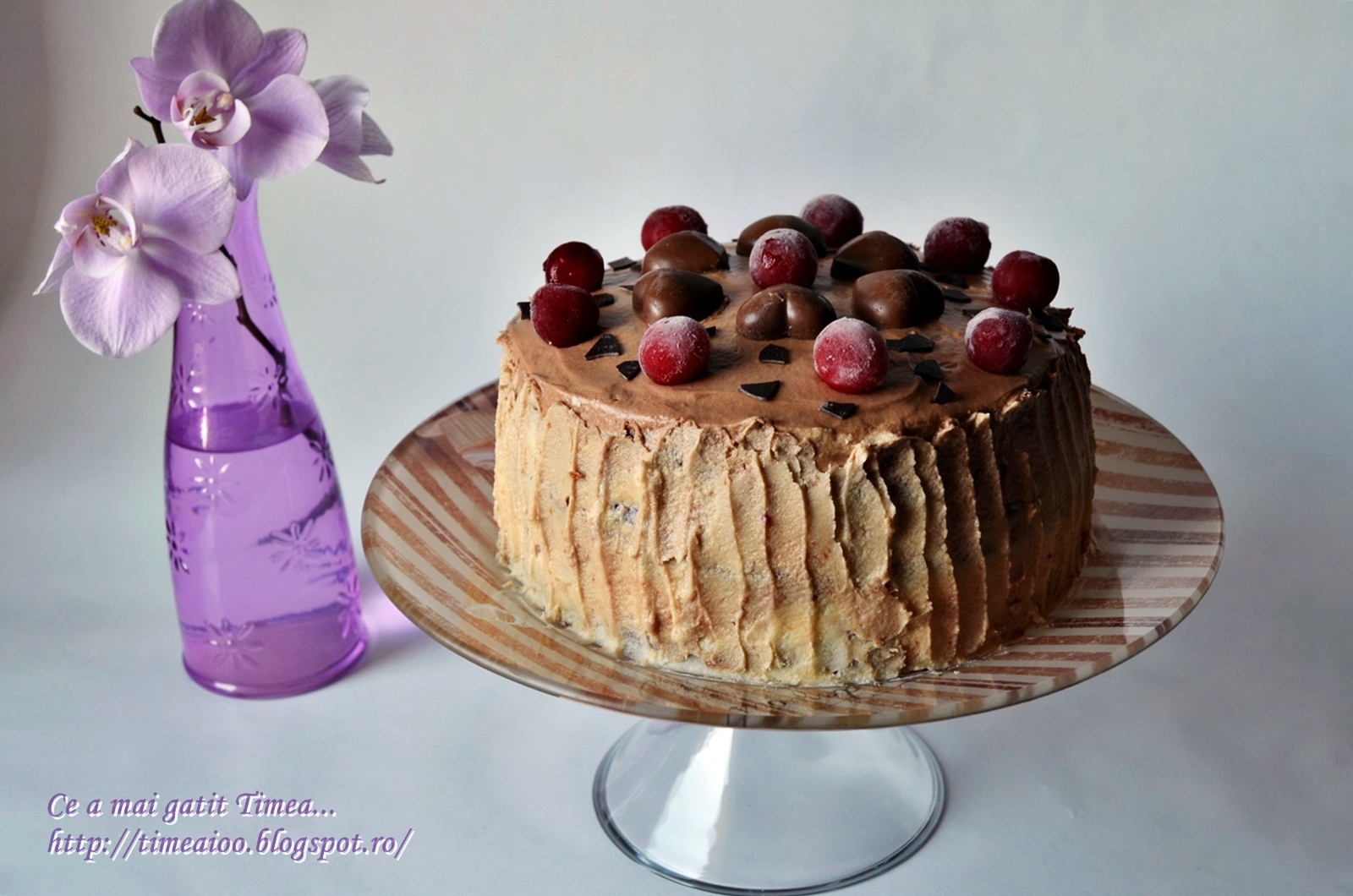Tort cu visine si doua feluri de ciocolata