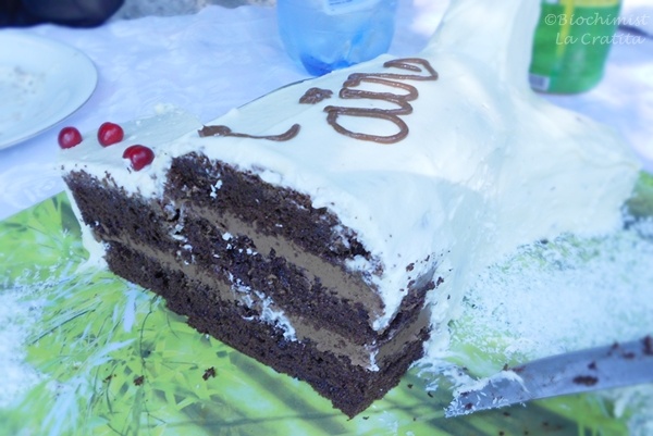 Tort Avion, cu crema de mascarpone si ciocolata