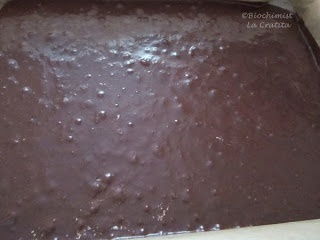 Tort Avion, cu crema de mascarpone si ciocolata