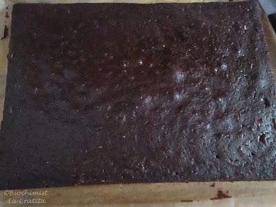 Tort Avion, cu crema de mascarpone si ciocolata