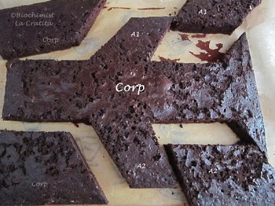 Tort Avion, cu crema de mascarpone si ciocolata