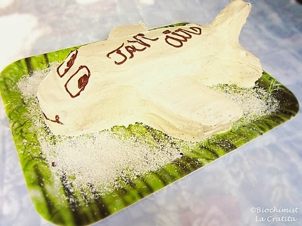 Tort Avion, cu crema de mascarpone si ciocolata