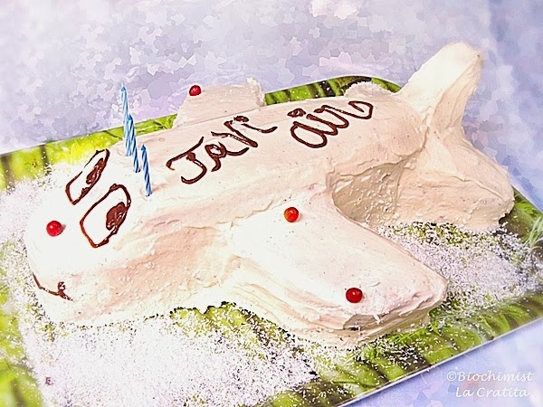 Tort Avion, cu crema de mascarpone si ciocolata