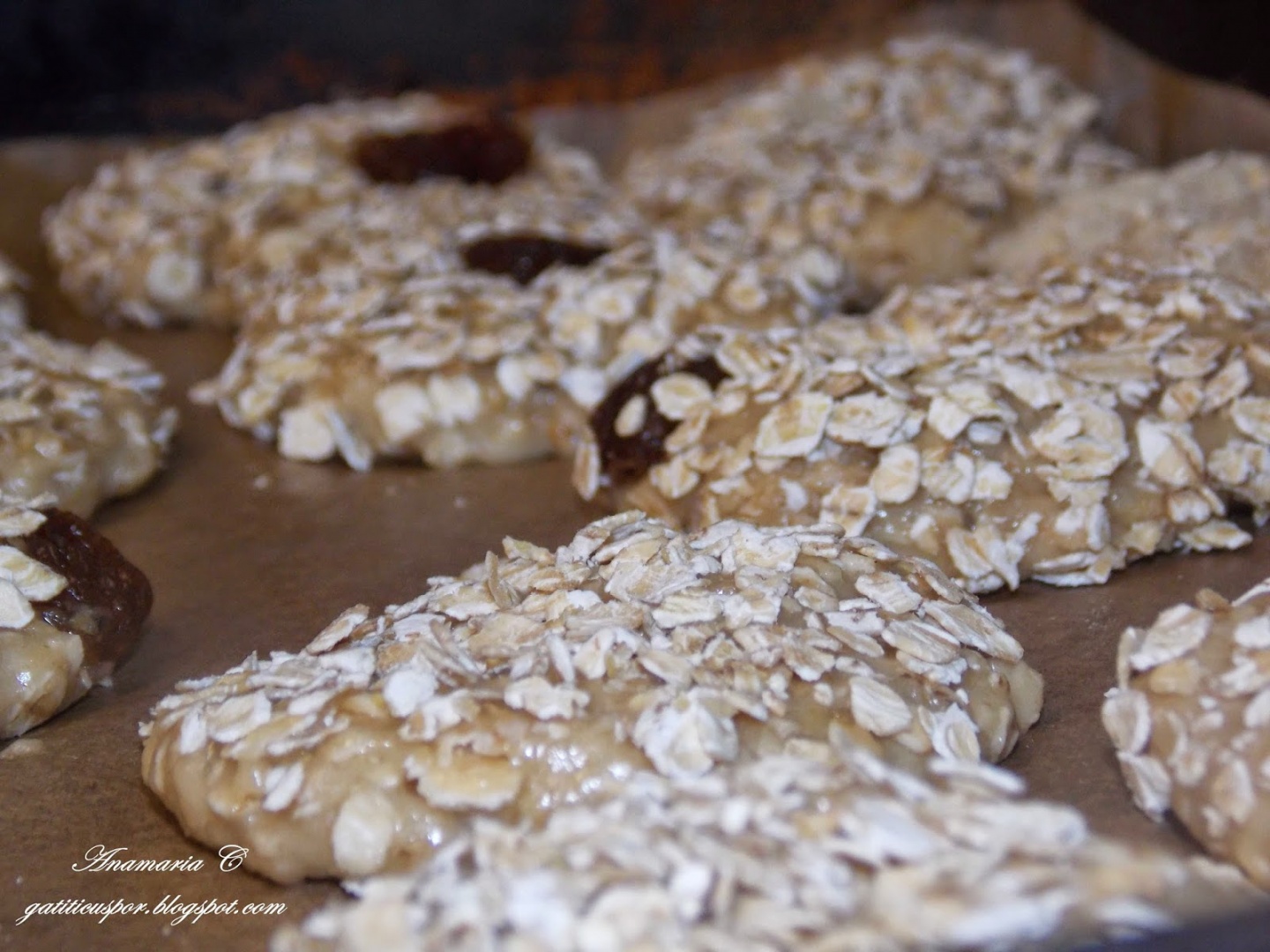 Biscuiti Cu Fulgi De Ovaz