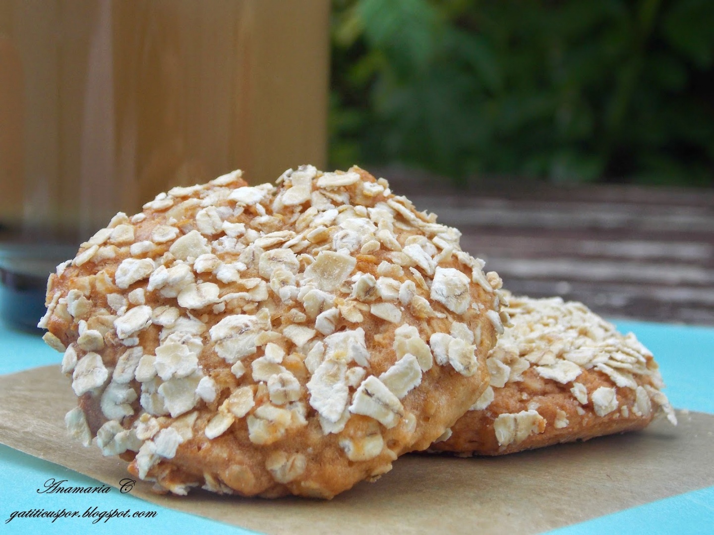 Biscuiti Cu Fulgi De Ovaz