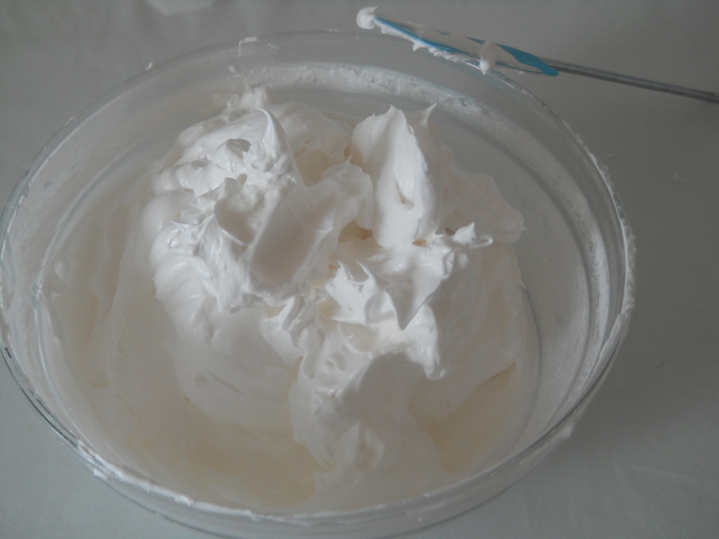 Pavlova cu crema de vanilie