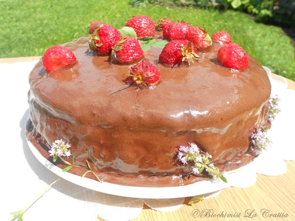 Tort cu capsune si spuma de cacao