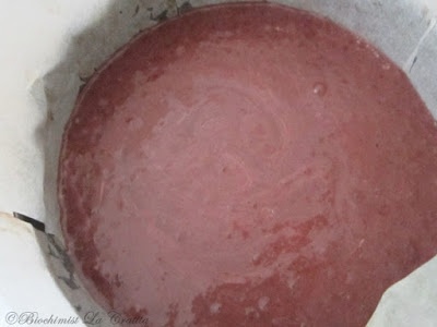 Tort cu capsune si spuma de cacao