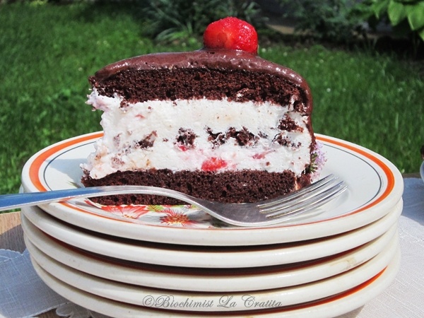 Tort cu capsune si spuma de cacao