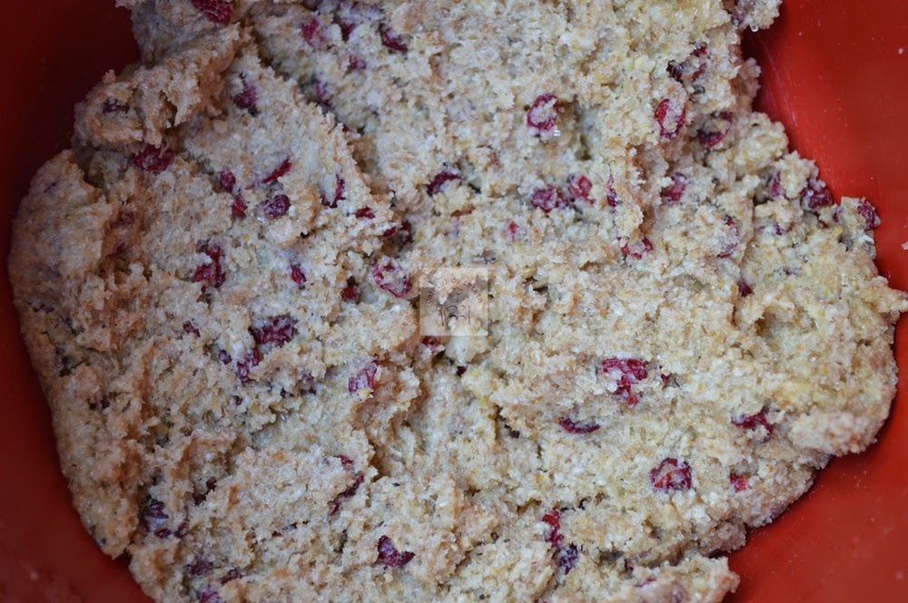 Biscuiti digestivi cu agrise