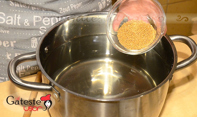 Castraveti murati in saramura