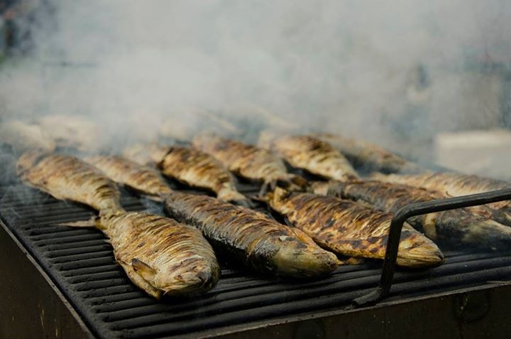 Weekend-ul acesta, Delta Dunarii se mută în Bucureşti!