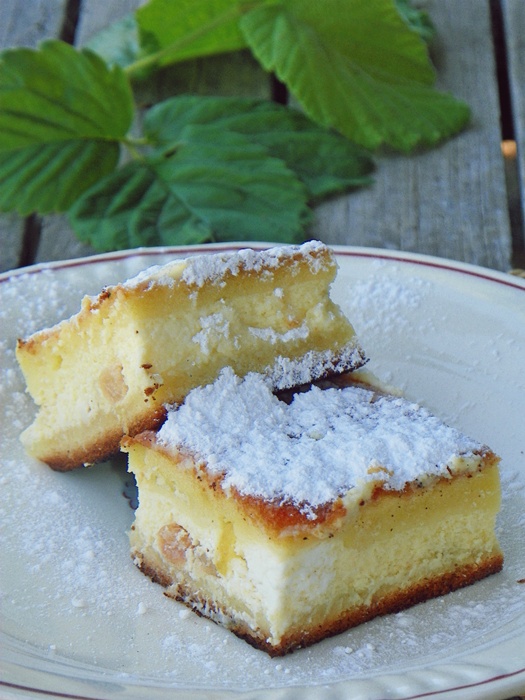 Prajitura cu branza dulce si stafide