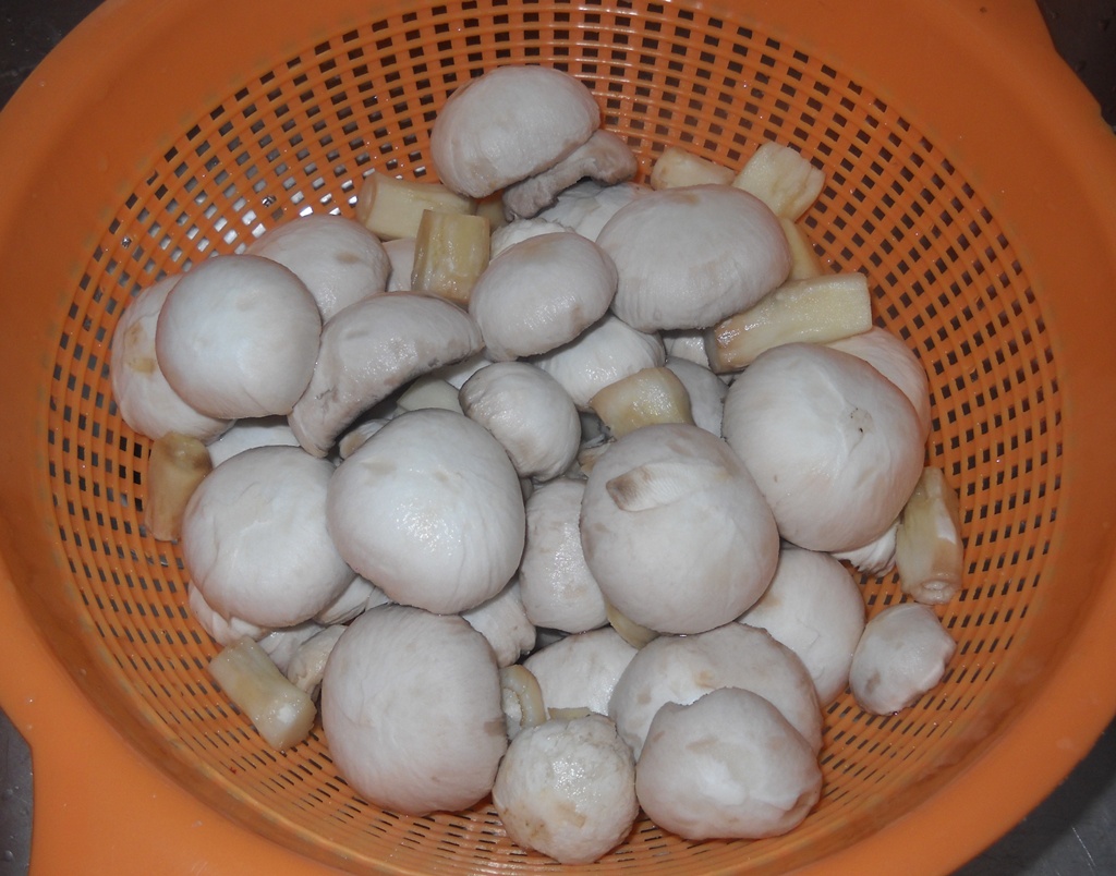 Tocanita de pui cu ciuperci