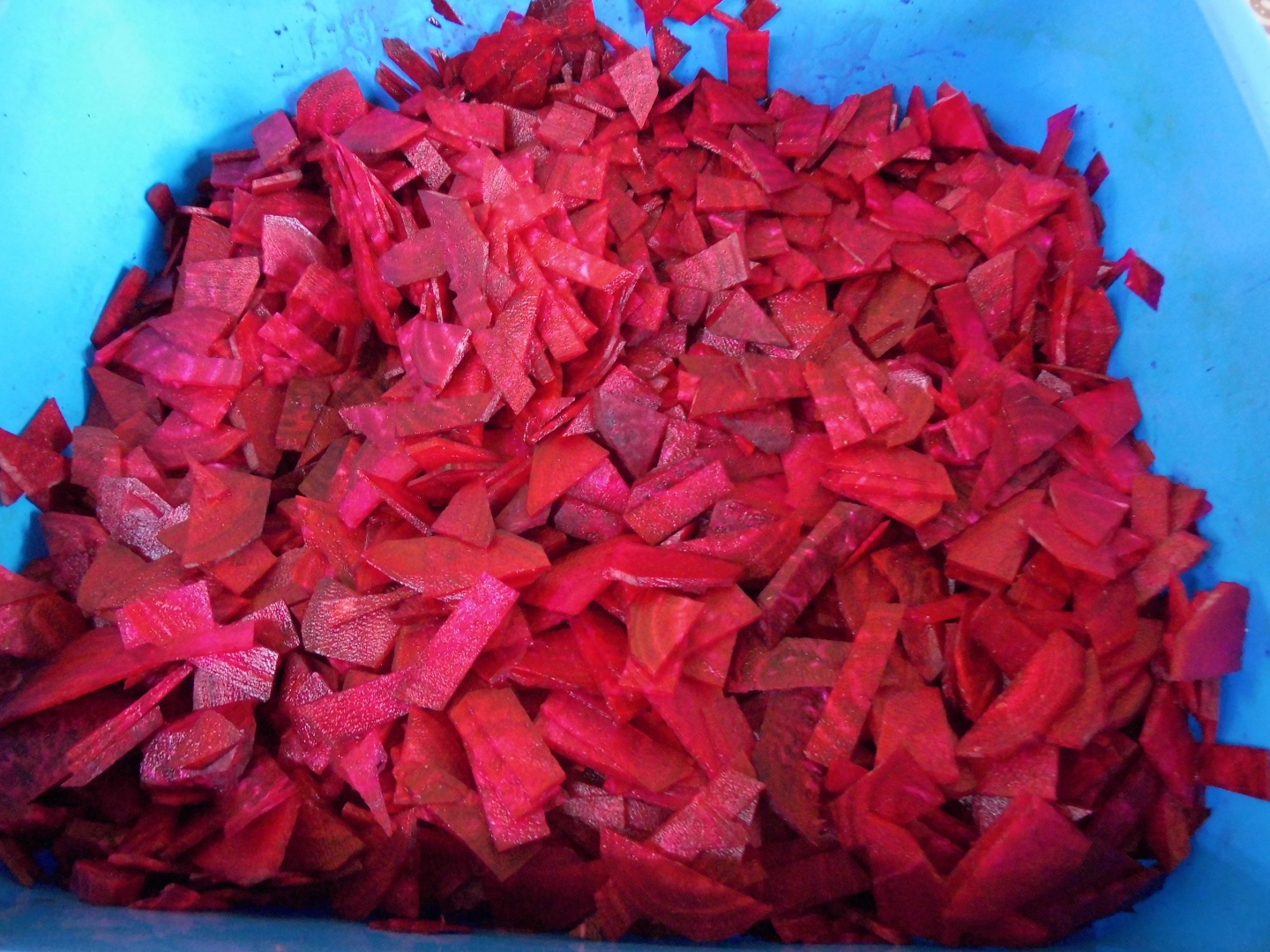 Salata de sfecla rosie cu gogosari si ceapa conservata pentru iarna