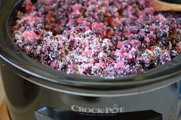 Dulceata de afine la Crock Pot