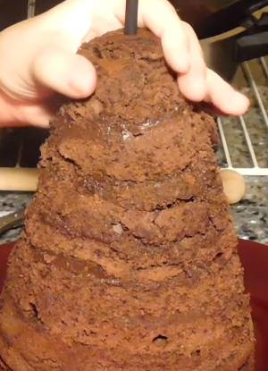 Tort de ciocolata in forma de bradulet de craciun