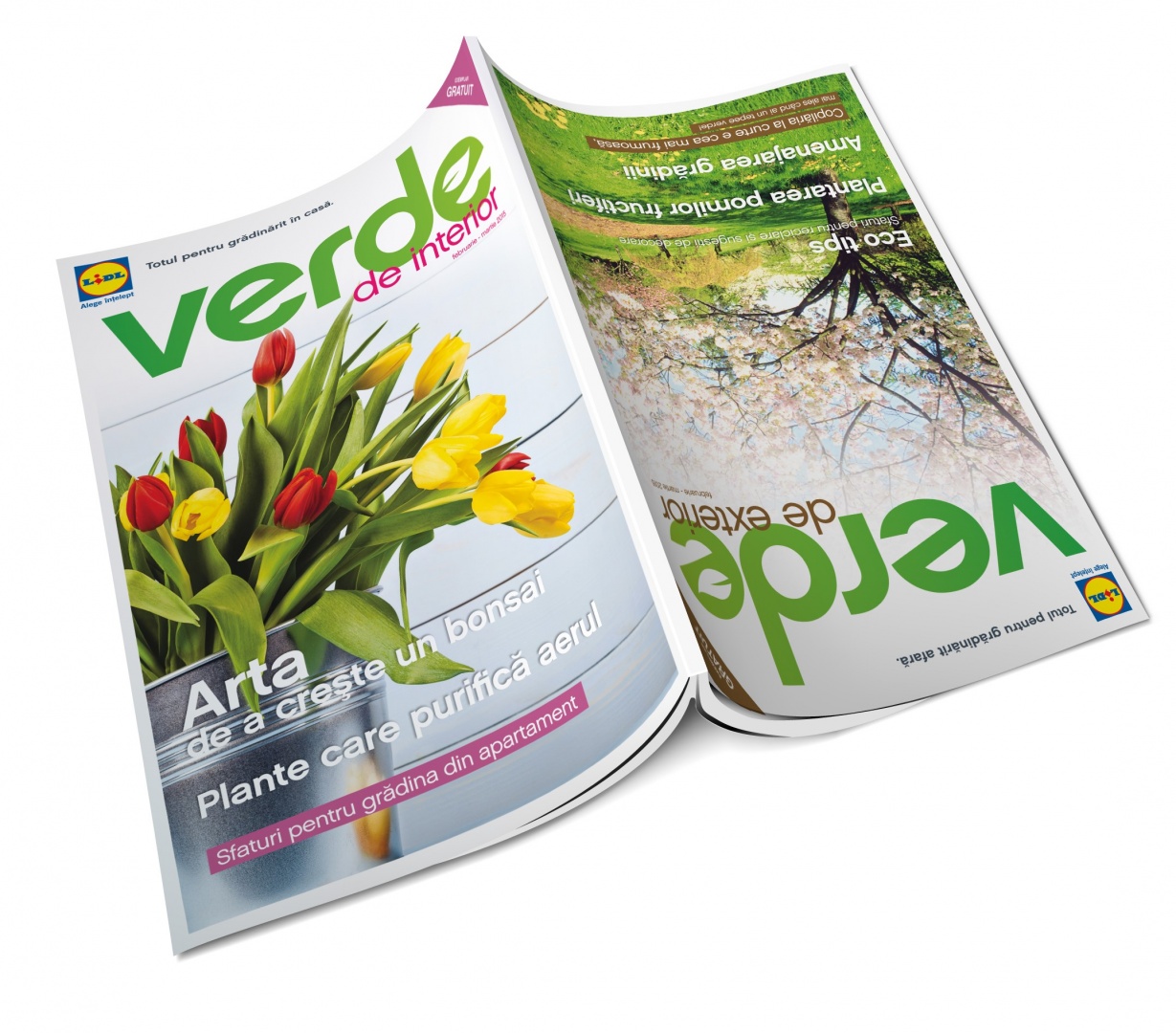 Te bucuri un an întreg de grădina ta de afară sau din locuinţă cu sfaturile practice din catalogul Lidl - „Verde”