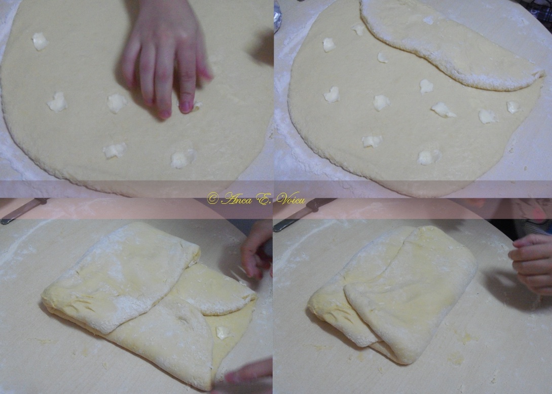 Placinta cu carne si aluat de casa