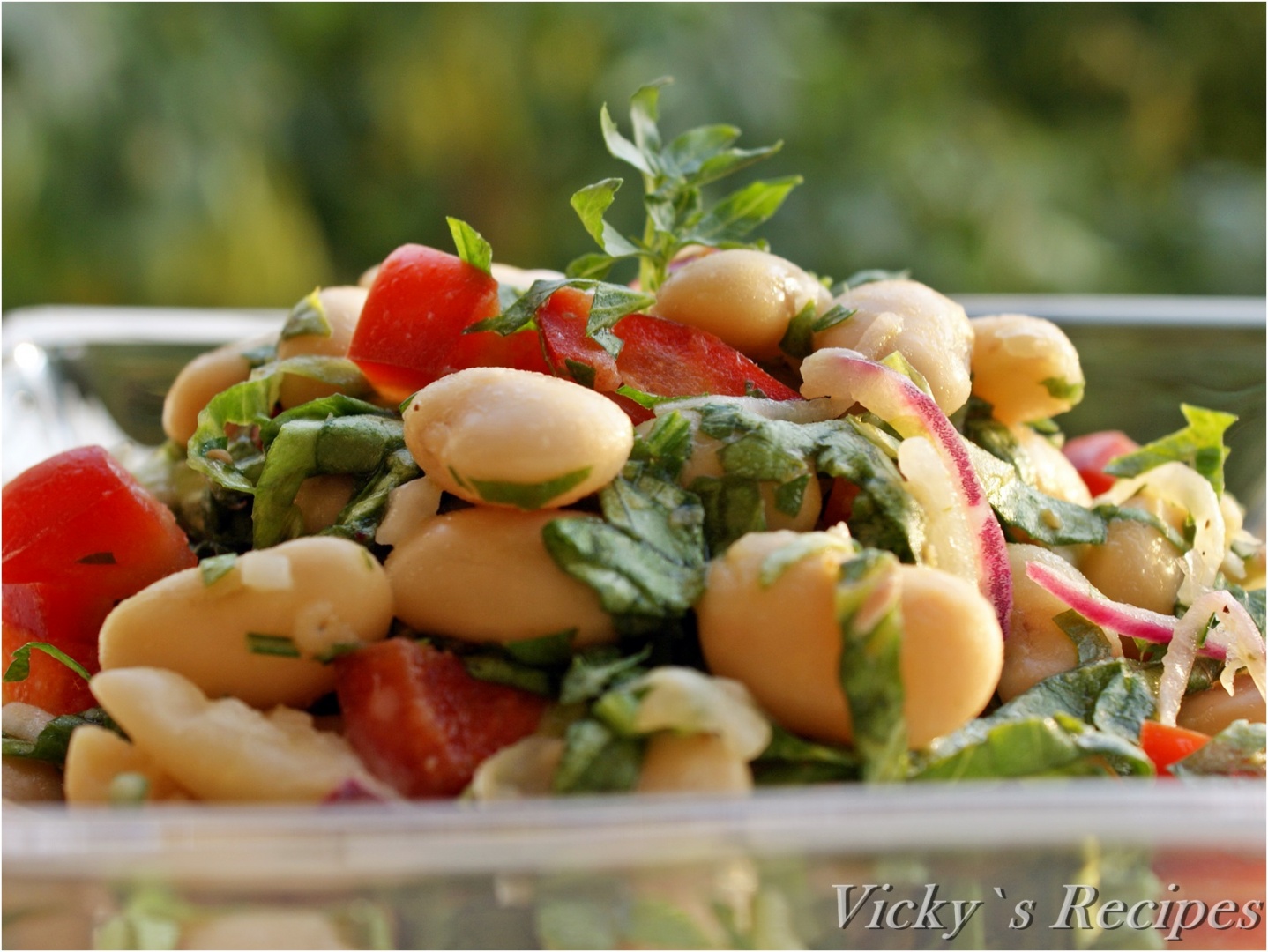 Salată de fasole boabe albă