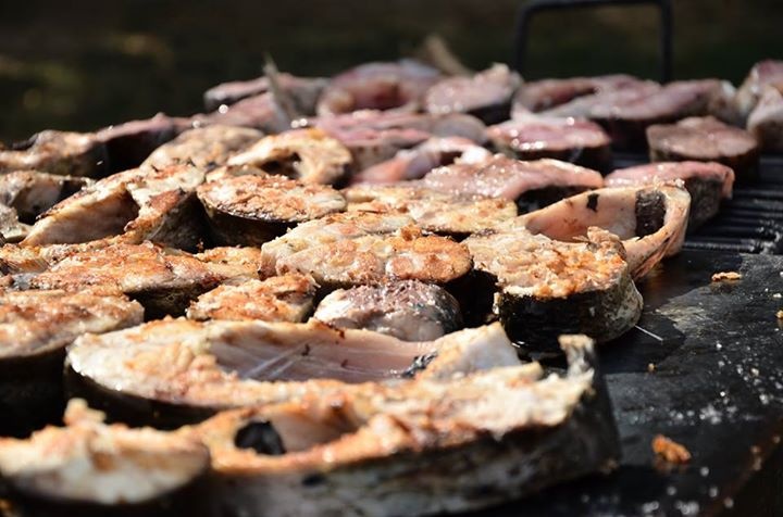 Festivalului Deltei revine cu o noua editie, intre 4 si 5 aprilie