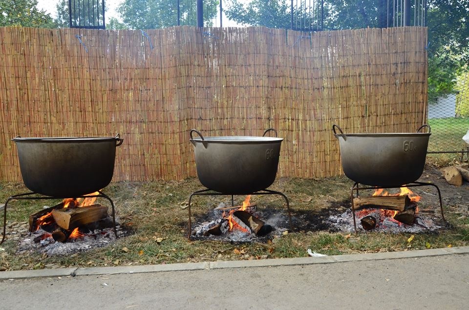 Festivalului Deltei revine cu o noua editie, intre 4 si 5 aprilie