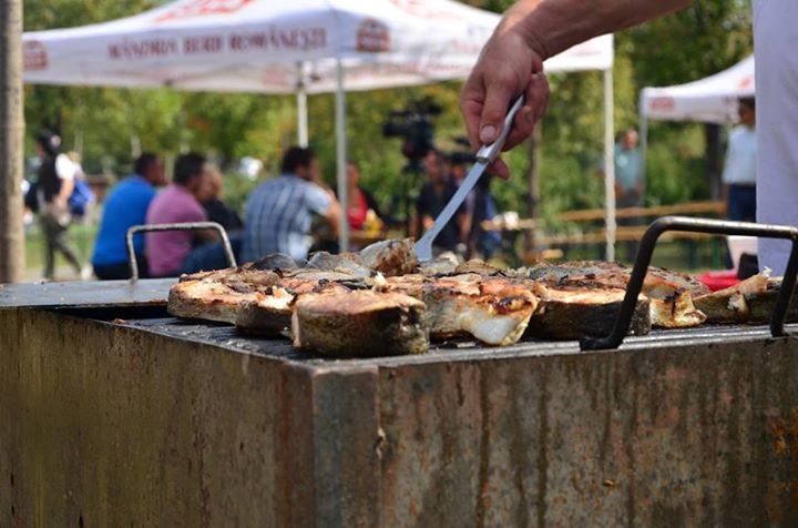 Festivalului Deltei revine cu o noua editie, intre 4 si 5 aprilie